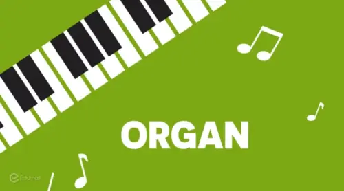 Dạy Đệm Organ cấp tốc